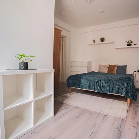 Bryggen Historic Area, Budget