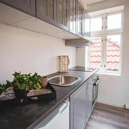 Apartment Bryggen Historic Area, Budget *