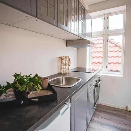 Bryggen Historic Area, Budget *