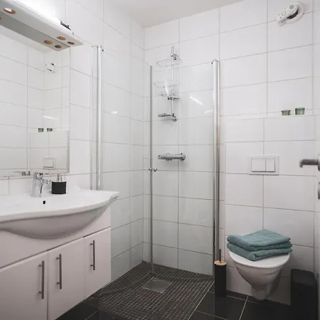 Bryggen Historic Area, Budget