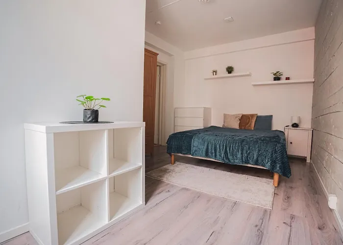 Bryggen Historic Area, Budget