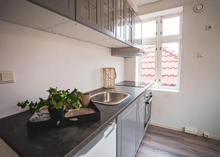 Appartement Bryggen Historic Area, Budget *