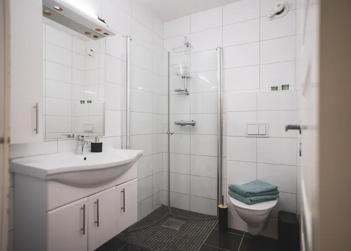 Bryggen Historic Area, Budget